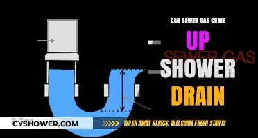 Can Sewer Gas Come Up Through Your Shower Drain? Explained