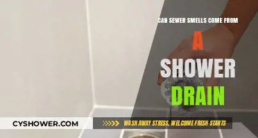 Why Your Shower Drain Might Be Causing Sewer Smells