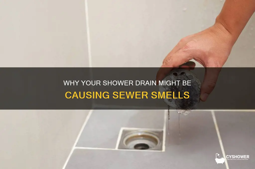 can sewer smells come from a shower drain