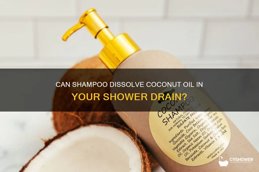 can shampoo dissolve coconut oil in shower dain