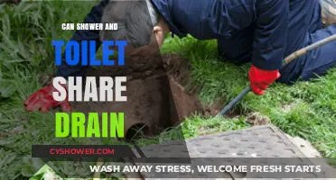 Can Showers and Toilets Share a Drain? Plumbing Insights Revealed