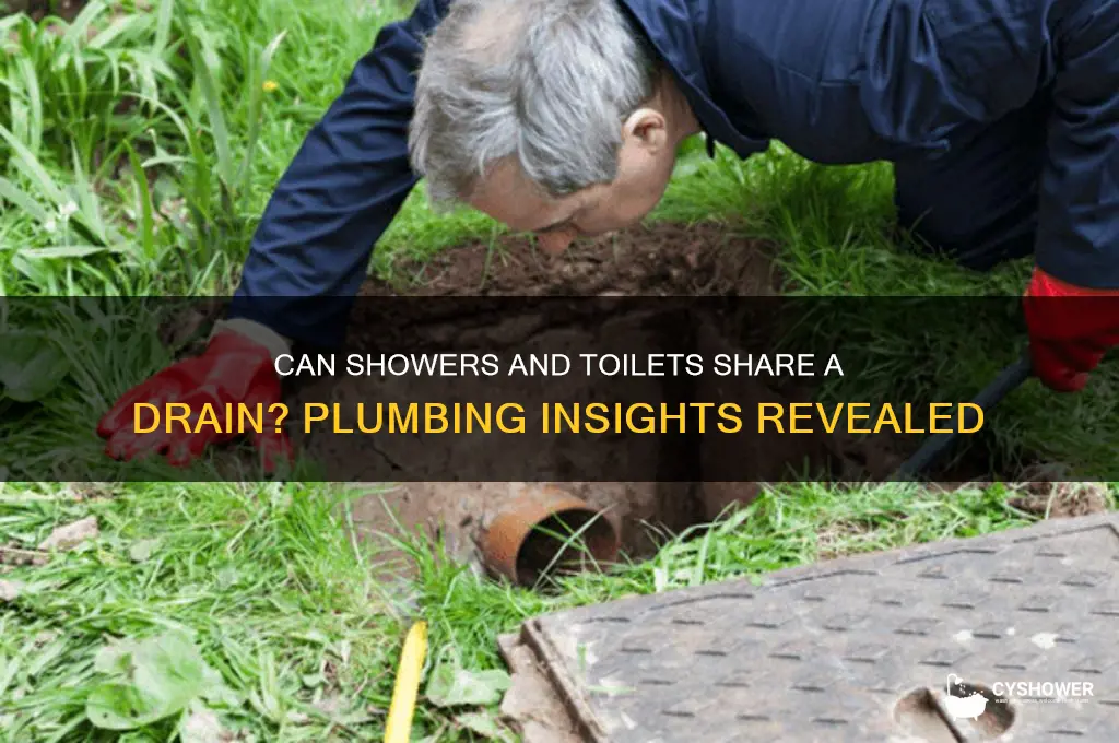 can shower and toilet share drain