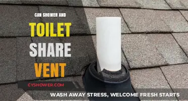 Can Shower and Toilet Share a Vent? Plumbing Insights Revealed