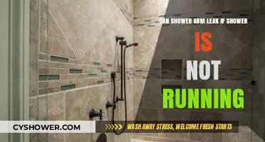 Shower Arm Leaks: Can They Happen When Water Isn't Running?