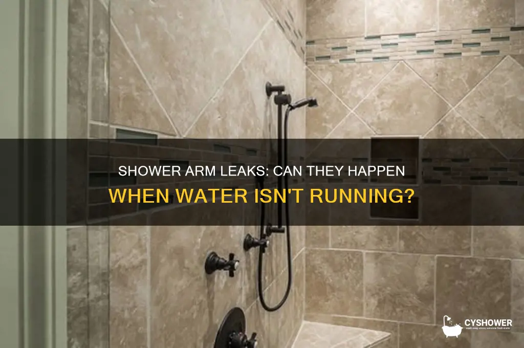 can shower arm leak if shower is not running