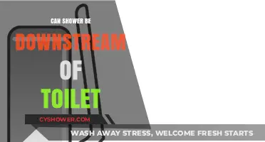 Shower Placement: Can It Be Downstream of a Toilet?