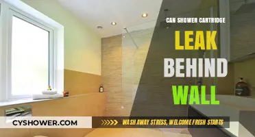 Can a Shower Cartridge Leak Behind the Wall? Find Out Here