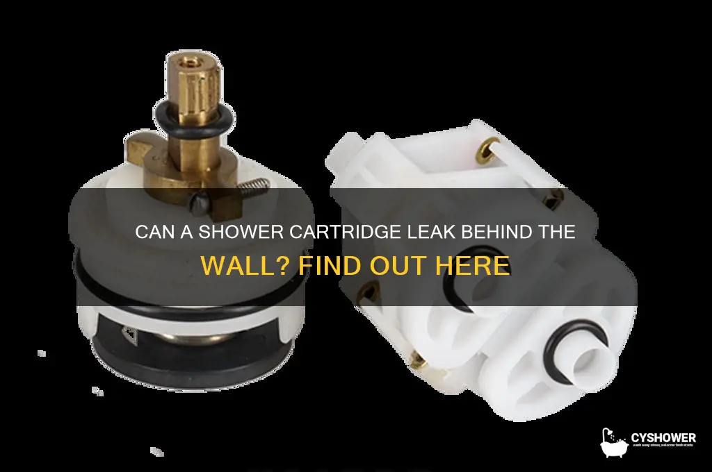 can shower cartridge leak behind wall