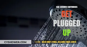 Can Shower Cartridges Get Clogged? Causes and Quick Fixes