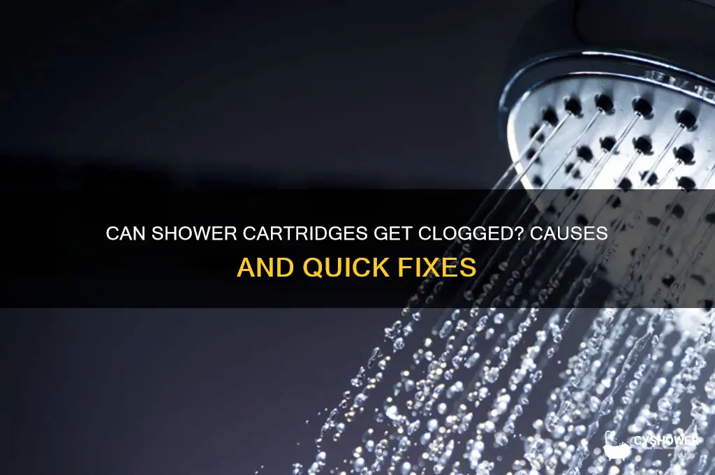 can shower cartridges get plugged up
