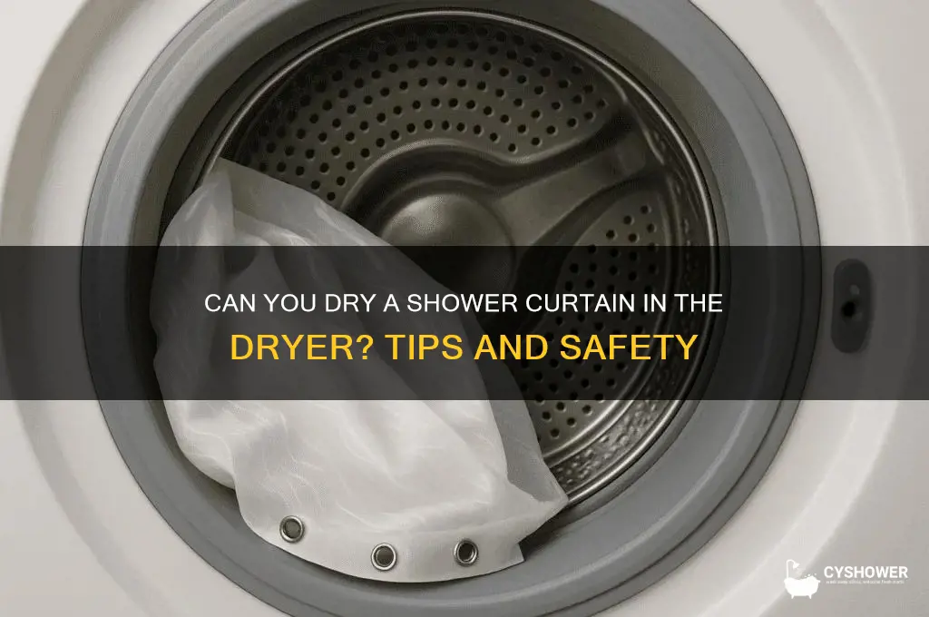 can shower curtain go in dryer
