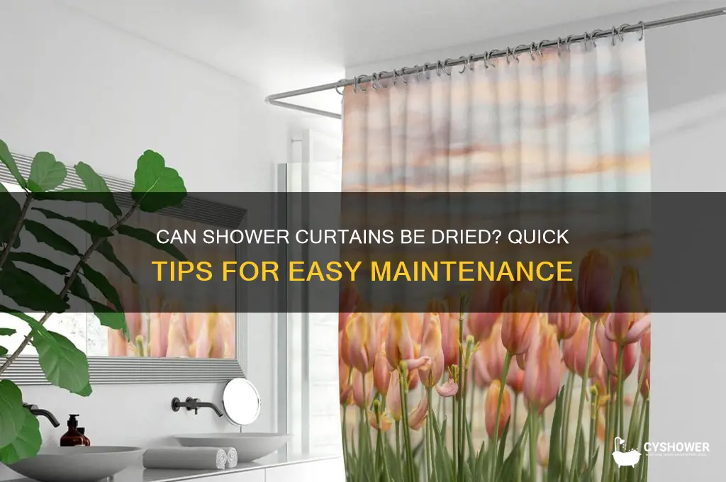 can shower curtains be dried