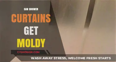 Preventing Mold on Shower Curtains: Tips for a Clean Bathroom