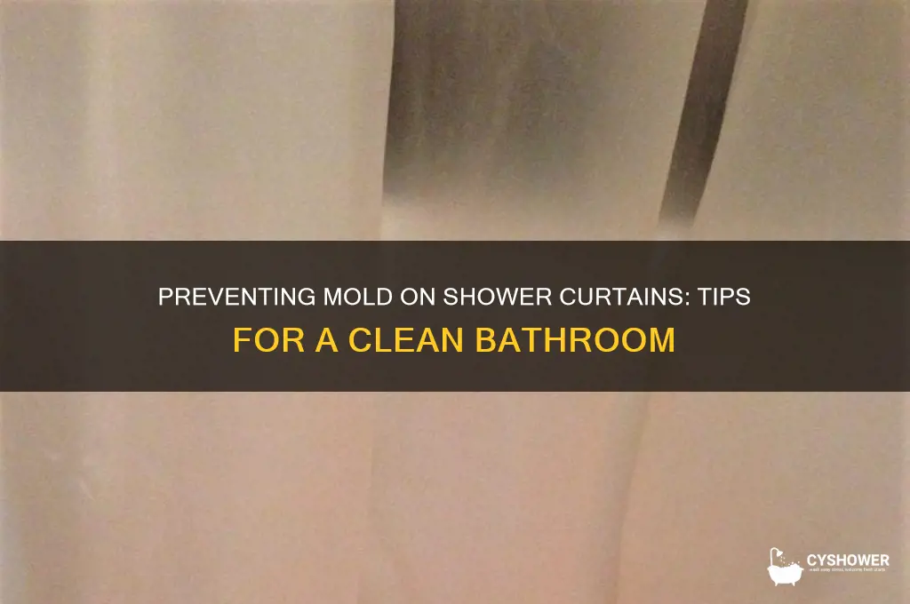 can shower curtains get moldy