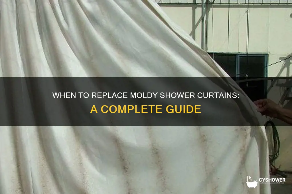 can shower curtens be to moldy to replace