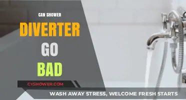 Can Shower Diverters Fail? Signs, Causes, and Replacement Tips