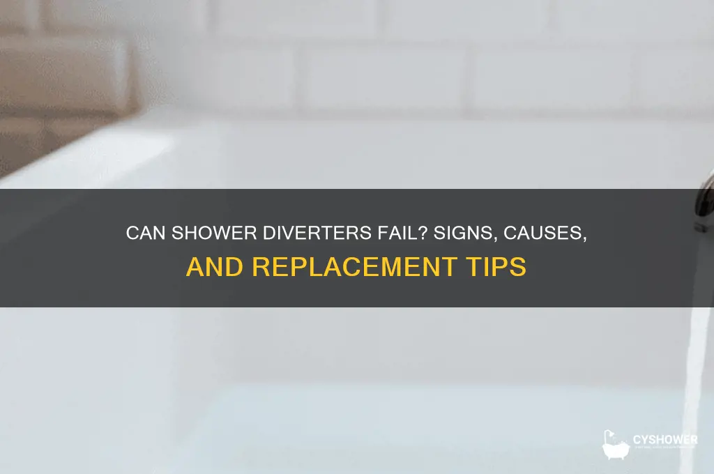 can shower diverter go bad