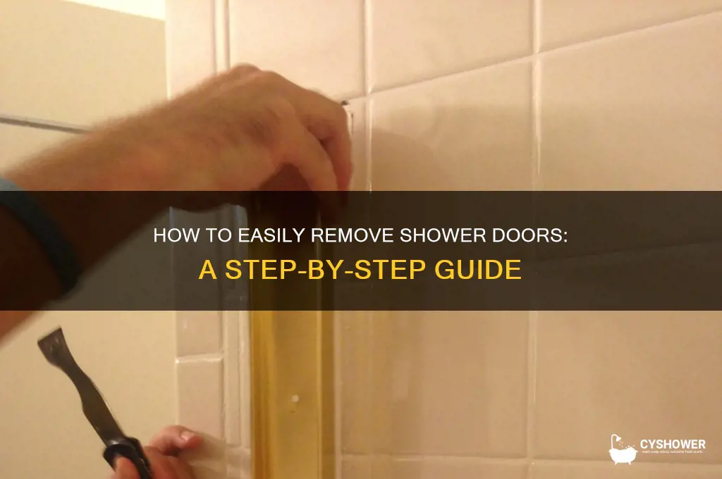 can shower doors be removed
