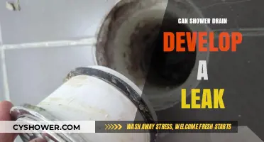 Can Your Shower Drain Leak? Causes, Signs, and Solutions