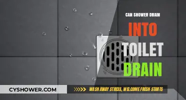 Can Your Shower Drain Directly into a Toilet Drain? Explained