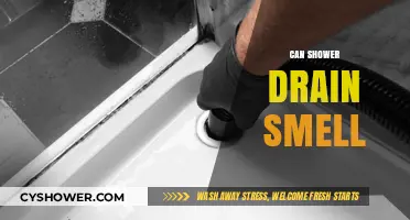 Why Your Shower Drain Smells and How to Fix It Fast