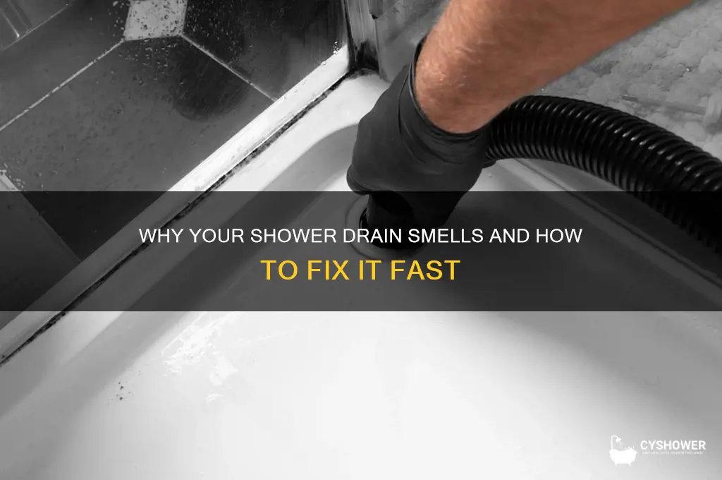 can shower drain smell