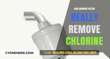 Can Shower Filters Effectively Remove Chlorine? A Comprehensive Analysis