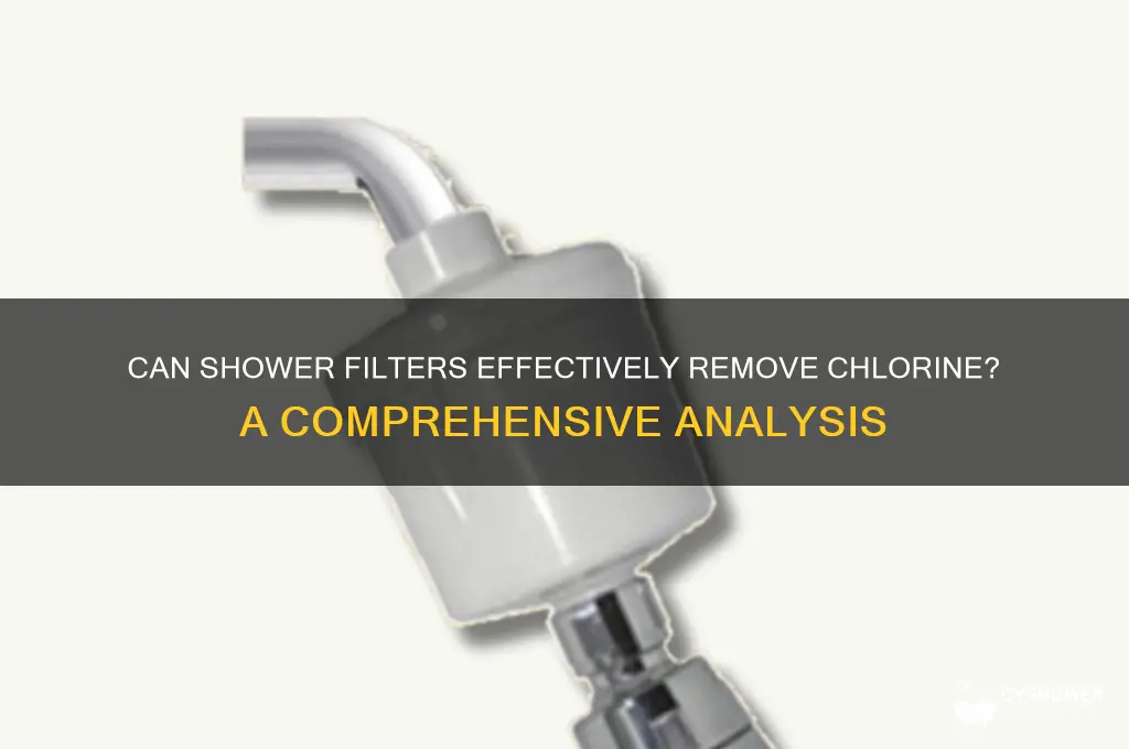 can shower filter really remove chlorine