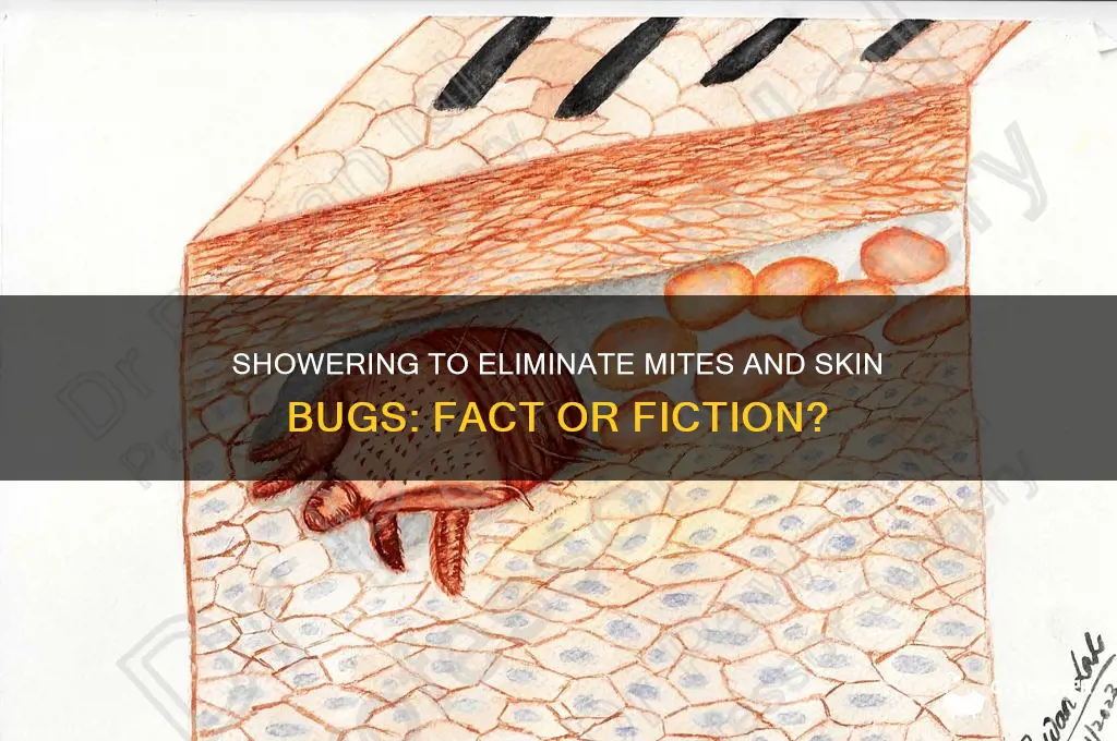 can shower get rid of mites or other skin bugs
