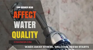 How Your Shower Head Impacts Water Quality: What You Need to Know