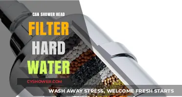 Can Shower Head Filters Soften Hard Water? A Complete Guide
