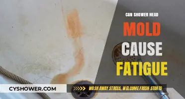 Shower Head Mold: Unseen Culprit Behind Persistent Fatigue and Health Issues?