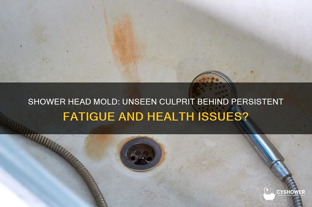 can shower head mold cause fatigue