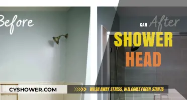 Can Shower Heads Transform Your Bathing Experience? A Comprehensive Guide