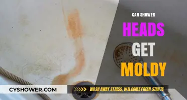 Can Shower Heads Get Moldy? Prevention and Cleaning Tips