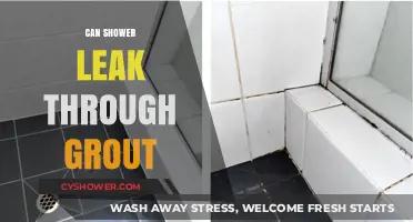 Can Shower Leaks Penetrate Grout? Understanding Water Damage Risks