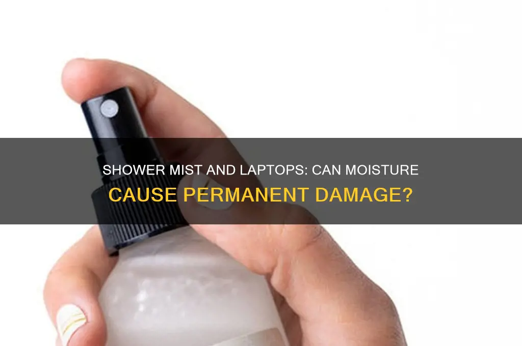 can shower mist break a laptop