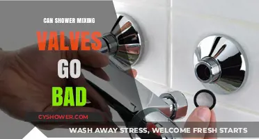 Do Shower Mixing Valves Fail Over Time? Signs and Solutions
