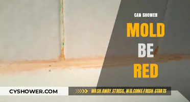 Is Red Shower Mold Possible? Causes, Risks, and Removal Tips