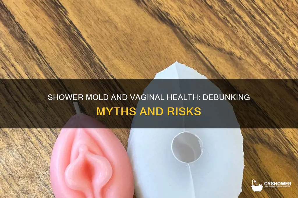can shower mold enter vagina from washing