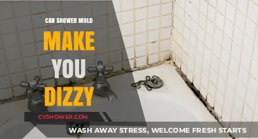Shower Mold and Dizziness: Uncovering the Hidden Health Risks