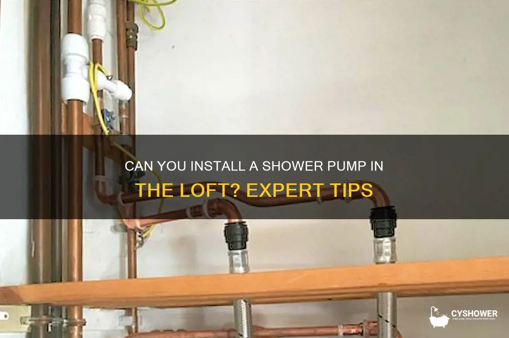 can shower pump go in loft