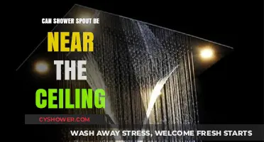 Can Shower Spouts Be Near the Ceiling? Pros, Cons, and Tips