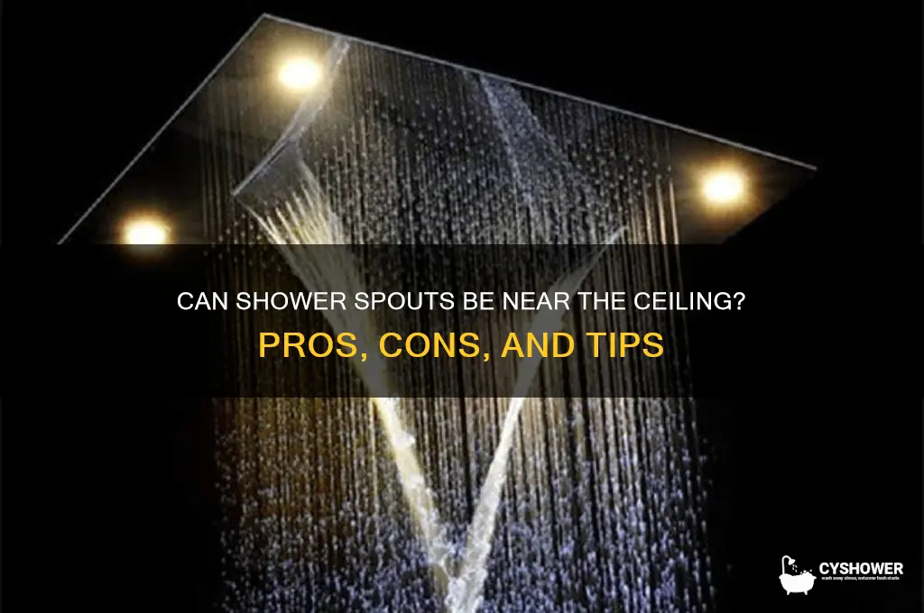 can shower spout be near the ceiling