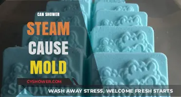 Shower Steam and Mold: Understanding the Risks and Prevention Tips