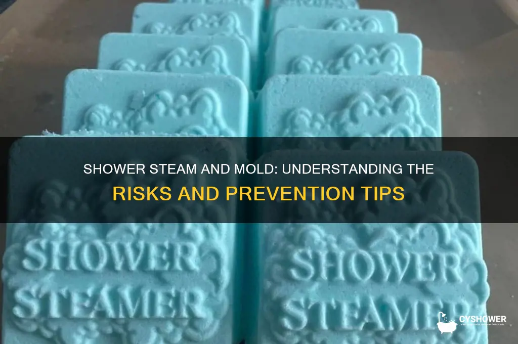 can shower steam cause mold