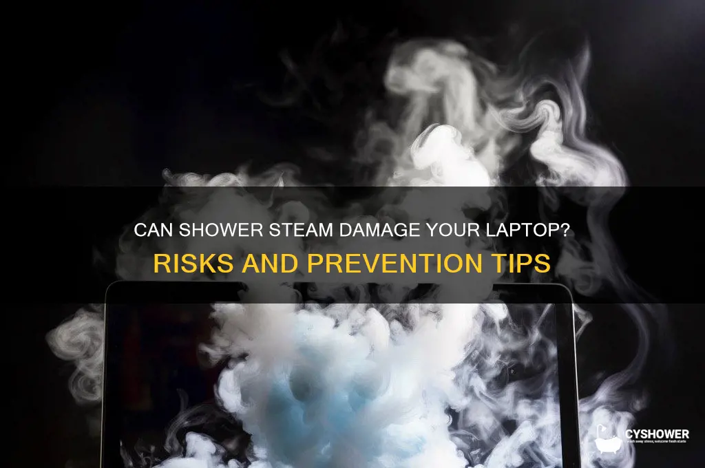 can shower steam damage laptop
