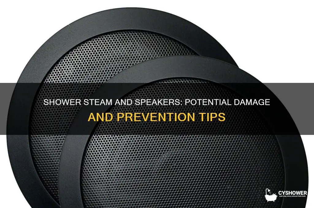 can shower steam damage speakers