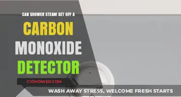 Shower Steam and Carbon Monoxide Detectors: Unraveling the Myth