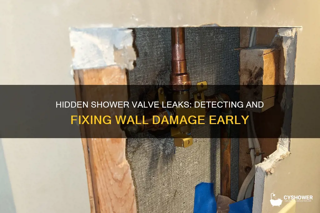 can shower valve leaking behind wall
